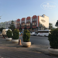 фото из отзыва ID 2016487