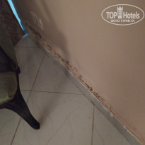 фото из отзыва ID 2016509