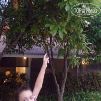 фото из отзыва ID 2016478