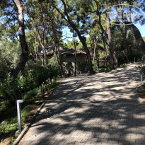 фото из отзыва ID 2016518