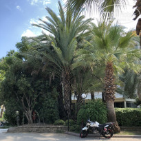 фото из отзыва ID 2016628