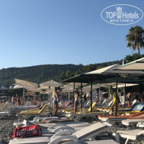 фото из отзыва ID 2016628