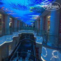 фото из отзыва ID 2016621