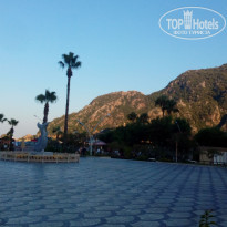 фото из отзыва ID 2016631