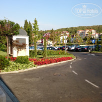 фото из отзыва ID 2016647