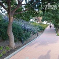 фото из отзыва ID 2016647