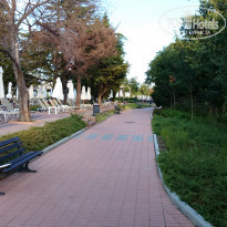 фото из отзыва ID 2016647