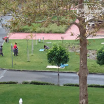 фото из отзыва ID 2016647