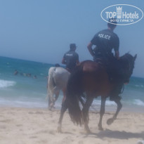 фото из отзыва ID 2016750