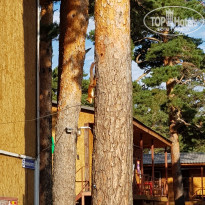 фото из отзыва ID 2016802