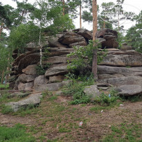 фото из отзыва ID 2016802