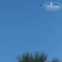 фото из отзыва ID 2016750