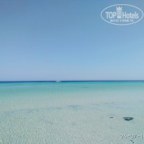 фото из отзыва ID 2016328