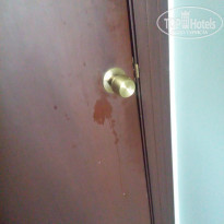 фото из отзыва ID 2016901