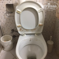 фото из отзыва ID 2016980