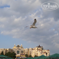 фото из отзыва ID 2017144