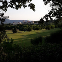 фото из отзыва ID 2017144