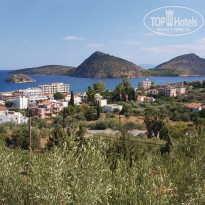 фото из отзыва ID 2017200