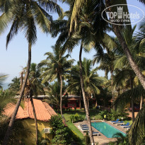 фото из отзыва ID 2017206