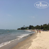 фото из отзыва ID 2017206