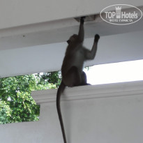 фото из отзыва ID 2017267