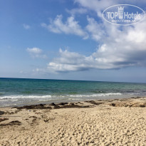 фото из отзыва ID 2017299