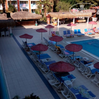 фото из отзыва ID 2017309