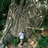 фото из отзыва ID 2017297