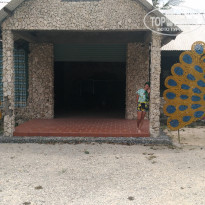 фото из отзыва ID 2017297