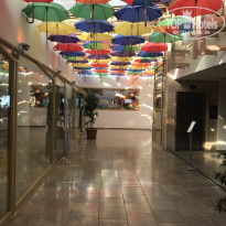 фото из отзыва ID 2017348