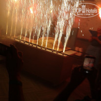 фото из отзыва ID 2017423