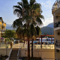 фото из отзыва ID 2017451