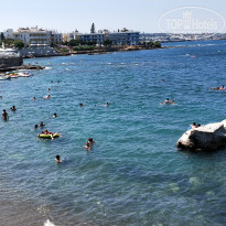 фото из отзыва ID 2017488