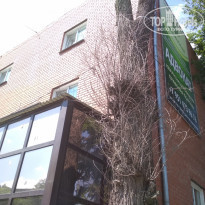 фото из отзыва ID 2017531