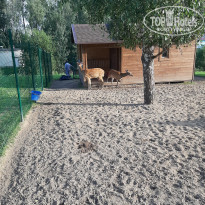 фото из отзыва ID 2017587