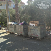 фото из отзыва ID 2017614