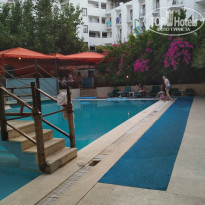 фото из отзыва ID 2017614