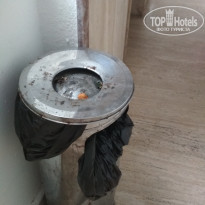 фото из отзыва ID 2017614