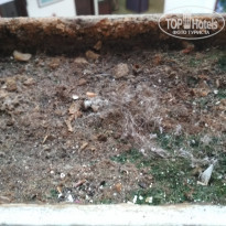 фото из отзыва ID 2017614