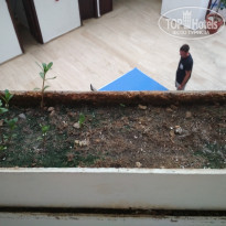 фото из отзыва ID 2017614