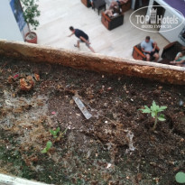 фото из отзыва ID 2017614