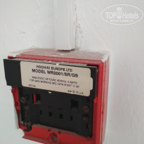 фото из отзыва ID 2017614