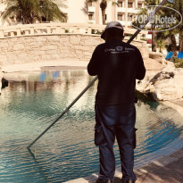 фото из отзыва ID 2017641