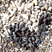 фото из отзыва ID 2017641