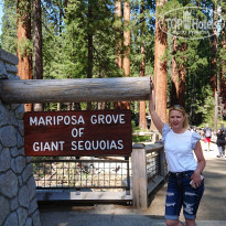 фото из отзыва ID 2017645