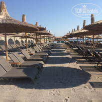 фото из отзыва ID 2017722