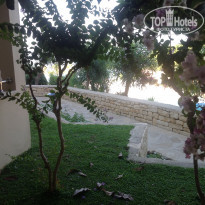 фото из отзыва ID 2017613