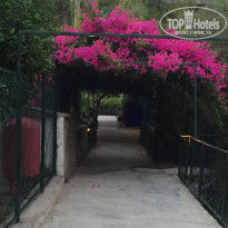 фото из отзыва ID 2017906