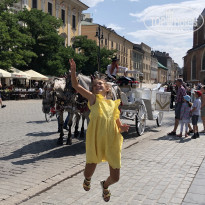 фото из отзыва ID 2017955