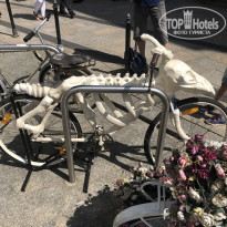 фото из отзыва ID 2017955